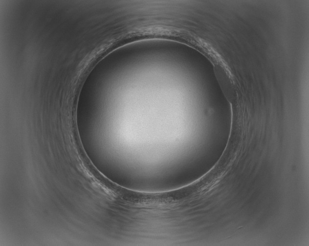 X0000083970625200702232018