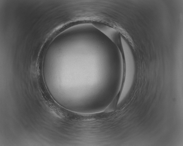 X0000083970628200702232019