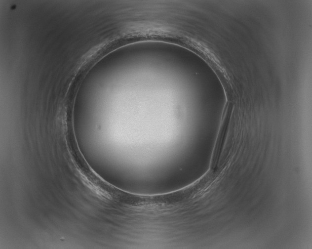 X0000083970629200702232019