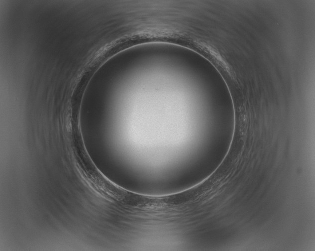 X0000083970631200702232019