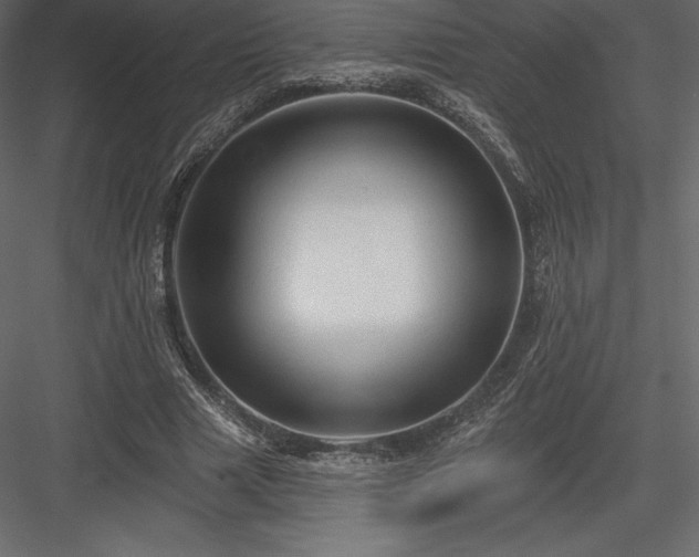 X0000083970633200702232019