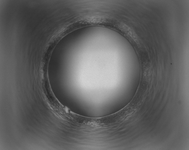 X0000083970635200702232019