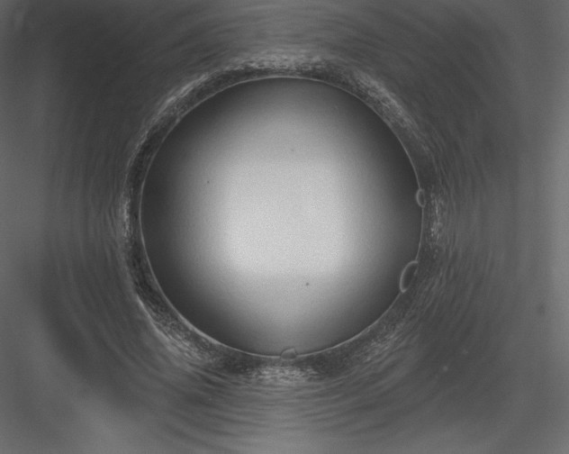 X0000083970636200702232019