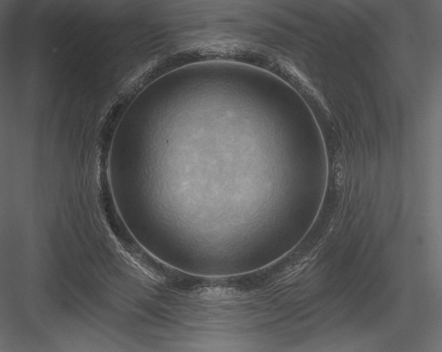 X0000083970637200702232019