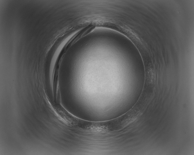 X0000083970638200702232019