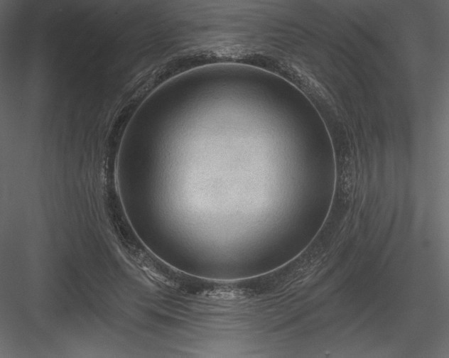 X0000083970639200702232019