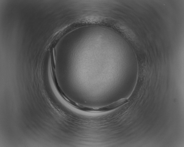 X0000083970640200702232019
