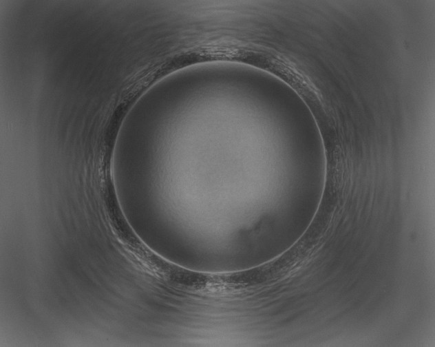 X0000083970641200702232019