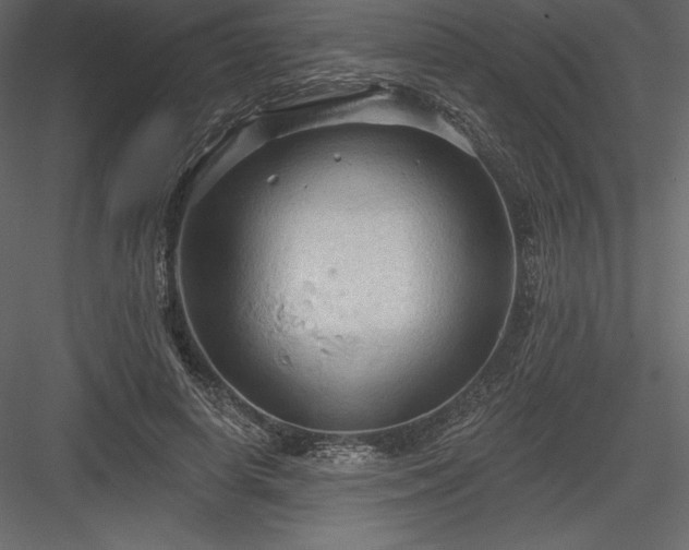 X0000083970642200702232019