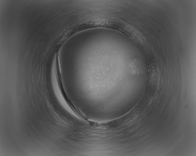 X0000083970643200702232019