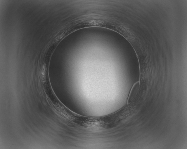 X0000083970646200702232019