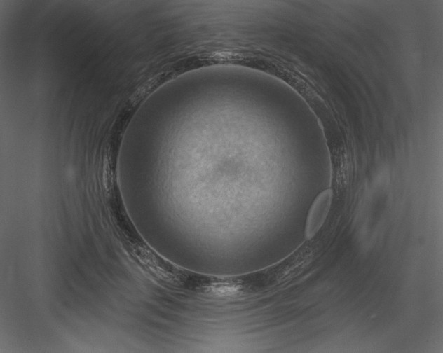 X0000083970651200702232019