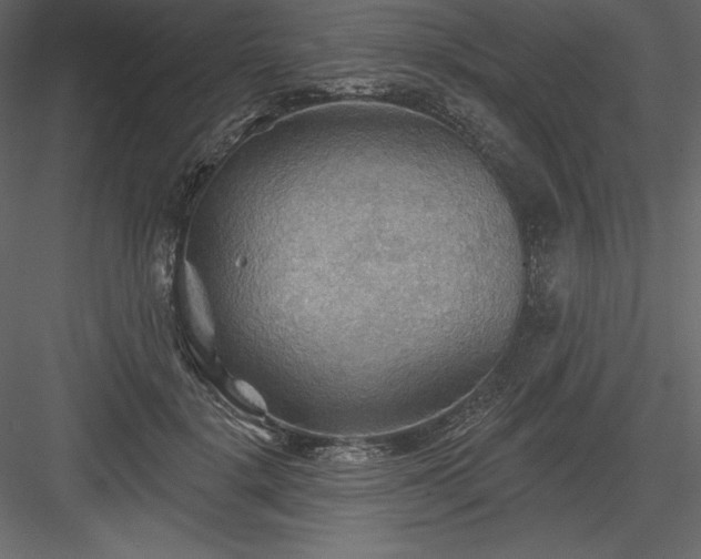 X0000083970652200702232019