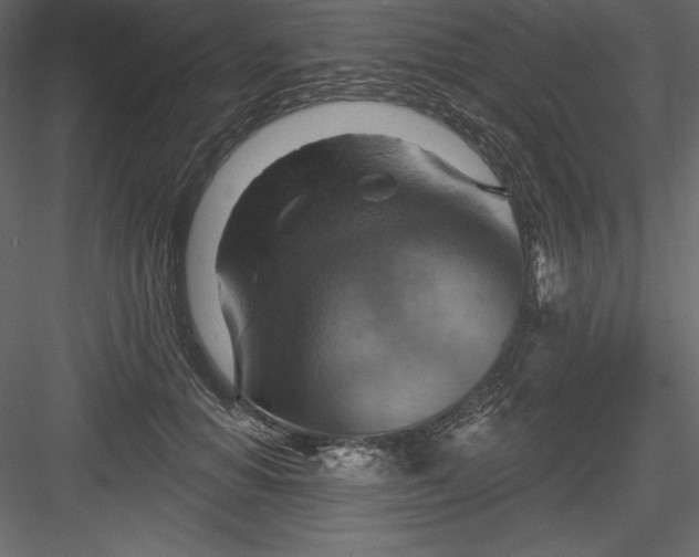 X0000083970654200702232019