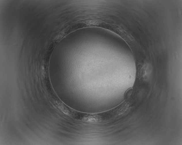 X0000083970655200702232019