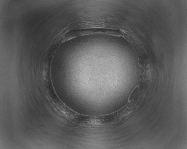 X0000083970656200702232019