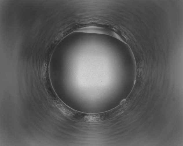 X0000083970660200702232019