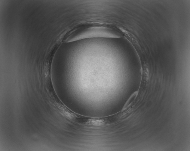X0000083970665200702232019