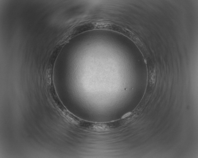 X0000083970666200702232019
