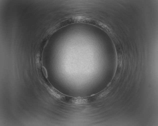 X0000083970670200702232019