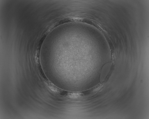 X0000083970671200702232019