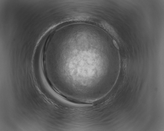 X0000083970676200702232018