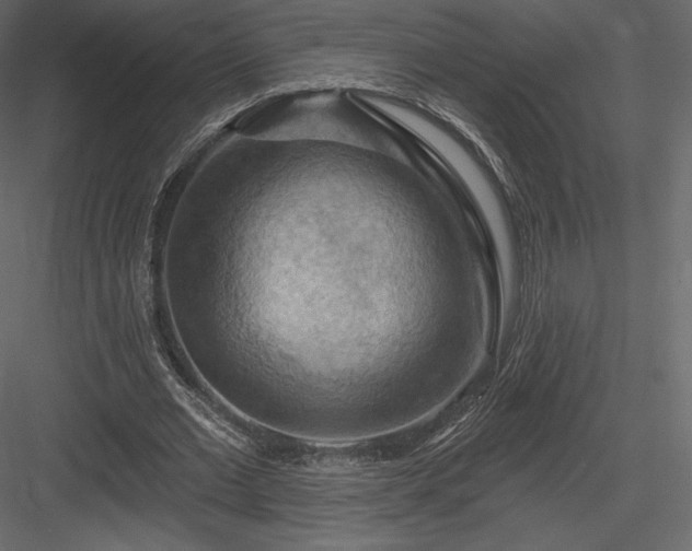 X0000083970677200702232018