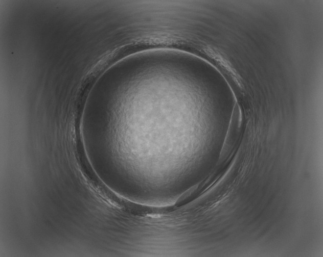 X0000083970681200702232018