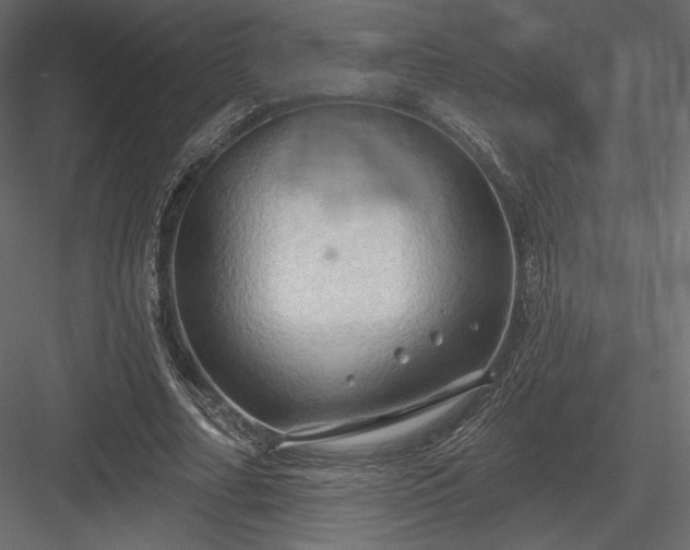 X0000083970682200702232018
