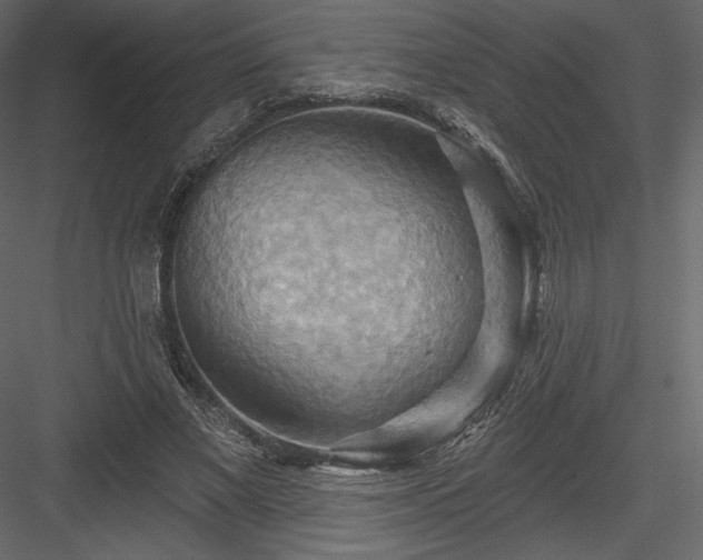 X0000083970685200702232018