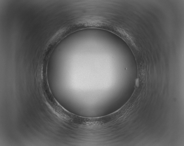 X0000083970686200702232018