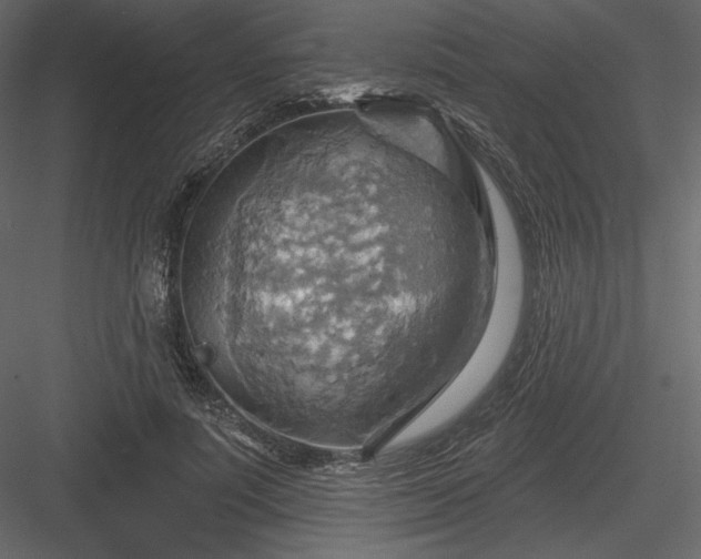 X0000083970691200702232018