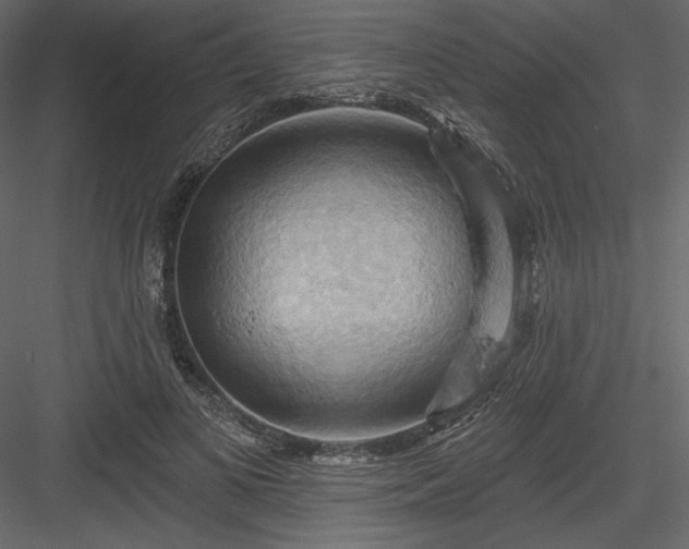 X0000083970693200702232018