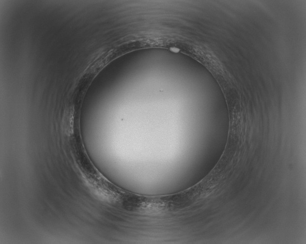 X0000083970694200702232018