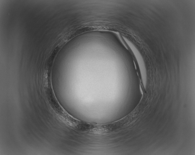 X0000083970696200702232018