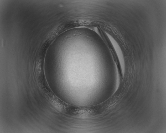 X0000083970697200702232018