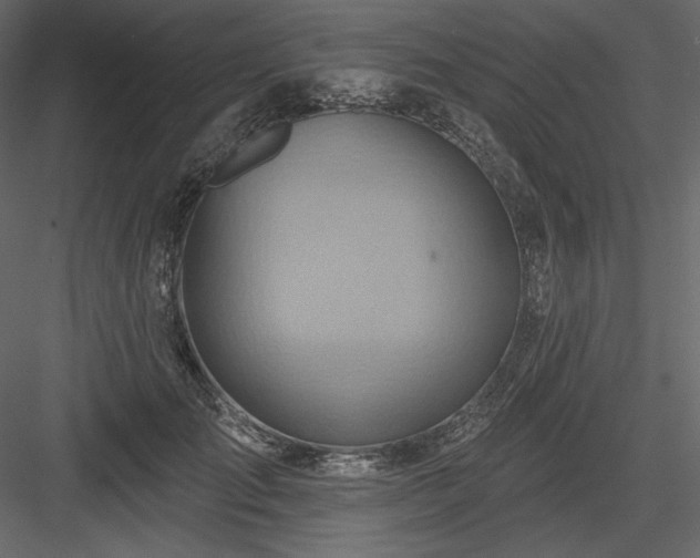 X0000083970701200702232018