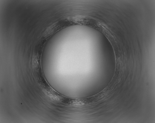 X0000083970702200702232018