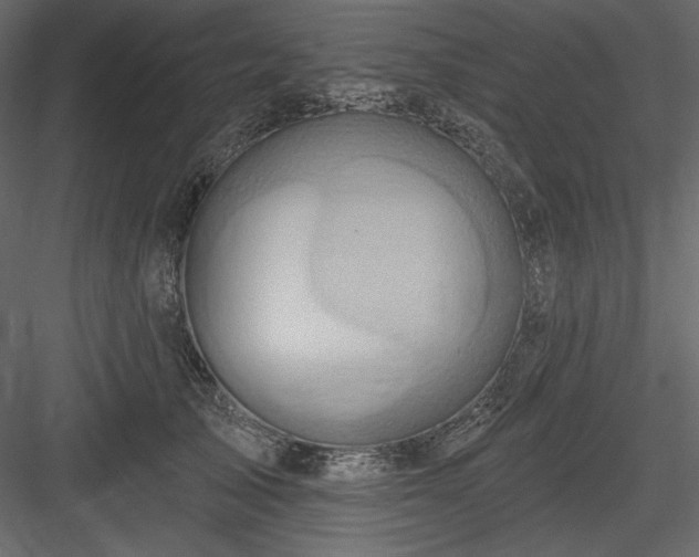 X0000083970705200702232018