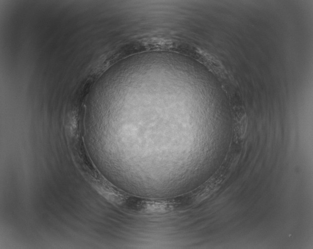 X0000083970709200702232018
