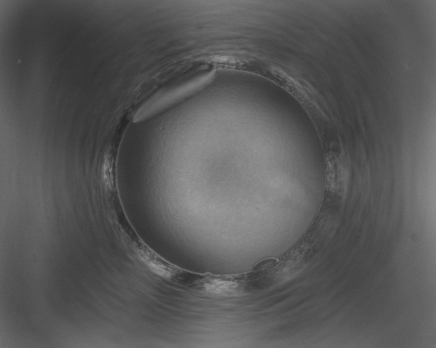X0000083970718200702232018