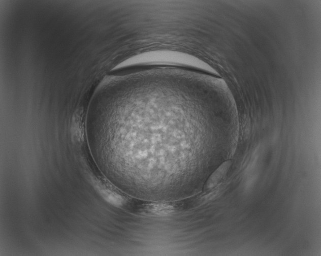 X0000083970719200702232018