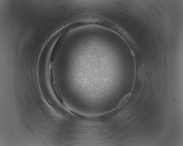 X0000083970722200702232017