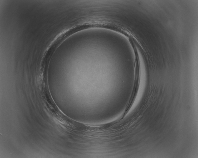 X0000083970723200702232017