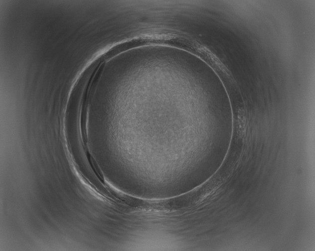 X0000083970726200702232017