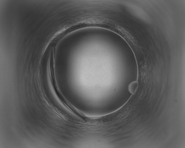 X0000083970727200702232017