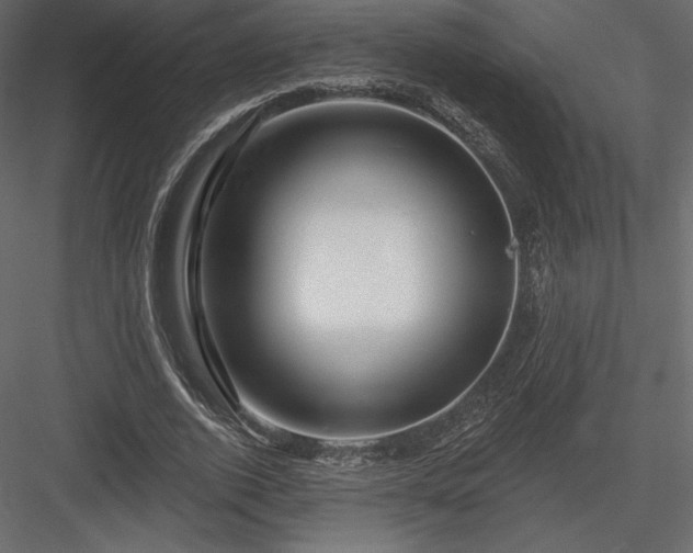 X0000083970728200702232017