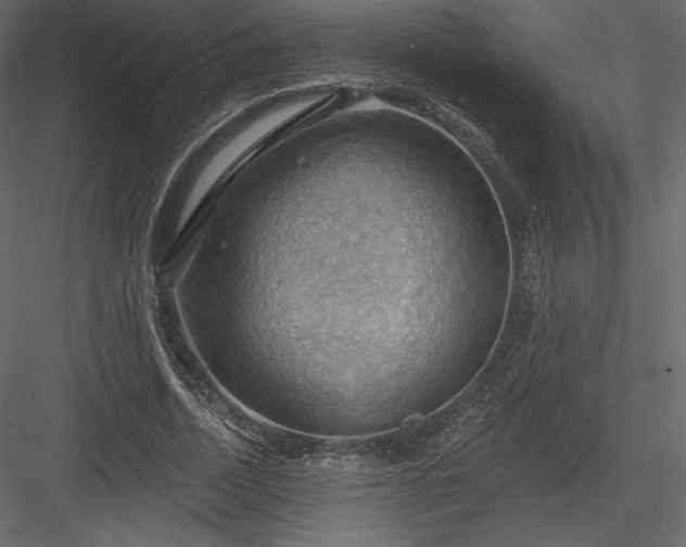 X0000083970730200702232017