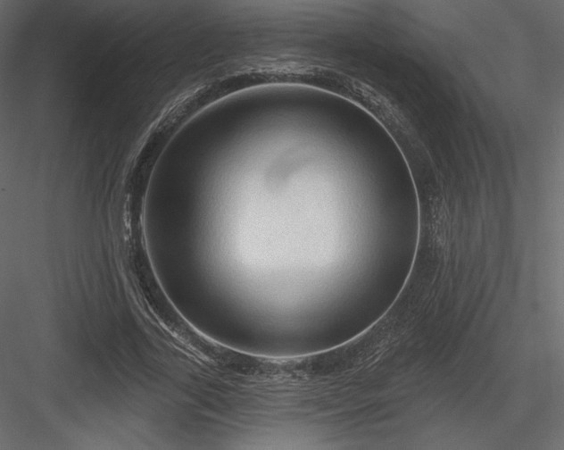 X0000083970731200702232017