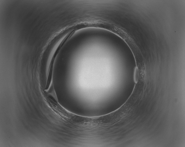 X0000083970732200702232017